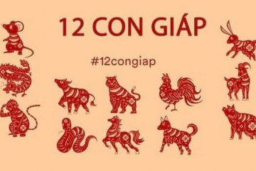 Tử vi hàng ngày thứ Hai 10/8/2020 của 12 con Giáp chính xác nhất Tử vi hàng ngày thứ Hai 10/8/2020 của 12 con Giáp chính xác nhất