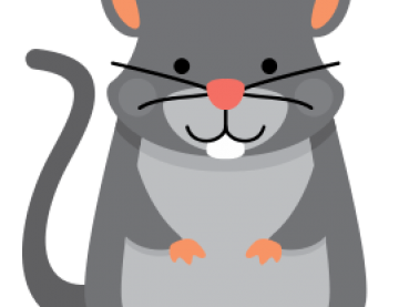 Những người sinh năm 1984 hợp màu gì? Ý nghĩa các màu và loại vật phẩm phong thủy phù hợp.