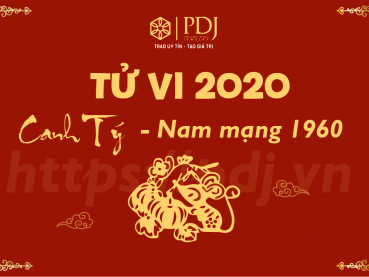 Xem tử vi năm 2020 của tuổi Canh Tý 1960 - Nam mạng