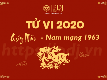 Xem tử vi năm 2020 của tuổi Quý Mão 1963 - Nam mạng