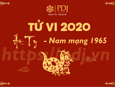 Xem tử vi năm 2020 của tuổi Ất Tỵ 1965 - Nam mạng