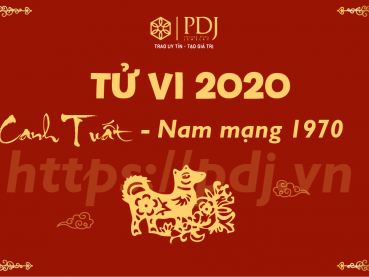 Xem tử vi năm 2020 của tuổi Canh Tuất 1970 - Nam mạng