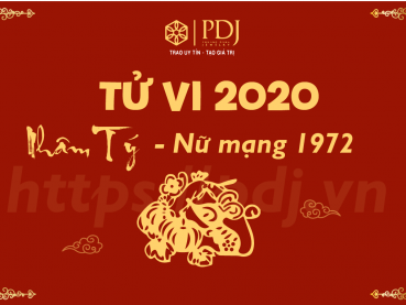 Xem tử vi năm 2020 của tuổi Nhâm Tý 1972 - Nữ mạng