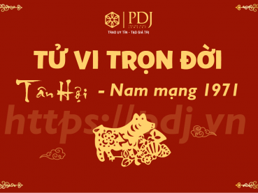 Xem tử vi trọn đời của tuổi Tân Hợi 1971 - Nam mạng Xem tử vi trọn đời của tuổi Tân Hợi 1971 - Nam mạng
