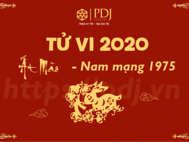 Xem tử vi năm 2020 của tuổi Ất Mão 1975 - Nam mạng