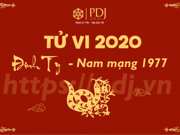 Xem tử vi năm 2020 của tuổi Đinh Tỵ 1977 - Nam mạng Xem tử vi năm 2020 của tuổi Đinh Tỵ 1977 - Nam mạng