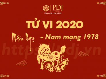 Xem tử vi năm 2020 của tuổi Mậu Ngọ 1978 - Nam mạng
