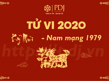 Xem tử vi năm 2020 của tuổi Kỷ Mùi 1979 - Nam mạng