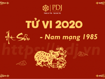 Xem tử vi năm 2020 của tuổi Ất Sửu 1985 - Nam mạng