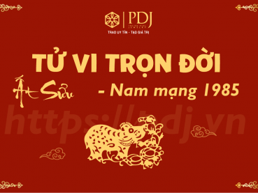 Xem tử vi trọn đời của tuổi Ất Sửu 1985 - Nam mạng