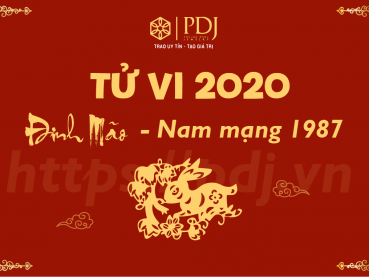 Xem tử vi năm 2020 của tuổi Đinh Mão 1987 - Nam mạng