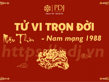 Xem tử vi trọn đời của tuổi Mậu Thìn 1988 - Nam mạng Xem tử vi trọn đời của tuổi Mậu Thìn 1988 - Nam mạng