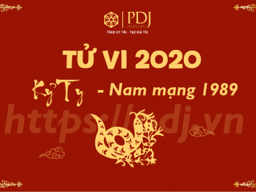 Xem tử vi năm 2020 của tuổi Kỷ Tỵ 1989 - Nam mạng