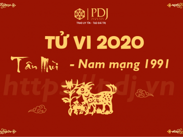 Xem tử vi năm 2020 của tuổi Tân Mùi 1991 - Nam mạng