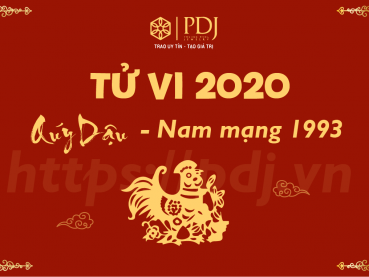 Xem tử vi năm 2020 của tuổi Quý Dậu 1993 - Nam mạng