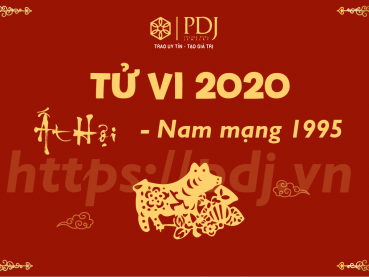 Xem tử vi năm 2020 của tuổi Ất Hợi 1995 - Nam mạng