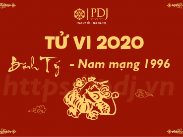 Xem tử vi năm 2020 của tuổi Bính Tý 1996 - Nam mạng