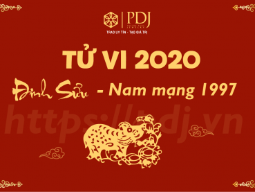 Xem tử vi năm 2020 của tuổi Đinh Sửu 1997 - Nam mạng