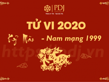 Xem tử vi năm 2020 của tuổi Kỷ Mão 1999 - Nam mạng