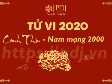 Xem tử vi năm 2020 của tuổi Canh Thìn 2000 - Nam mạng