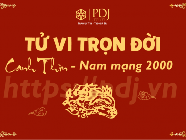 Xem tử vi trọn đời của tuổi Canh Thìn 2000 - Nam mạng
