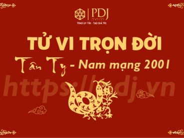 Xem tử vi trọn đời của tuổi Tân Tỵ 2001 - Nam mạng