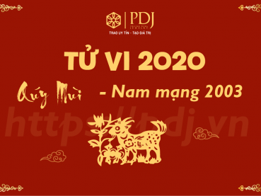 Xem tử vi năm 2020 của tuổi Quý Mùi 2003 - Nam mạng
