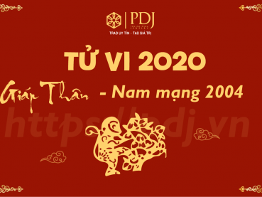 Xem tử vi năm 2020 của tuổi Giáp Thân 2004 - Nam mạng