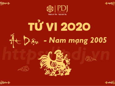 Xem tử vi năm 2020 của tuổi Ất Dậu 2005 - Nam mạng