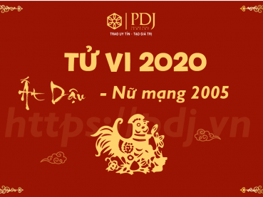 Xem tử vi năm 2020 của tuổi Ất Dậu 2005 - Nữ mạng