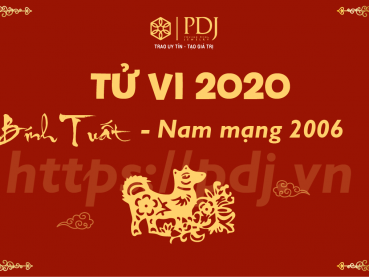Xem tử vi năm 2020 của tuổi Bính Tuất 2006 - Nam mạng