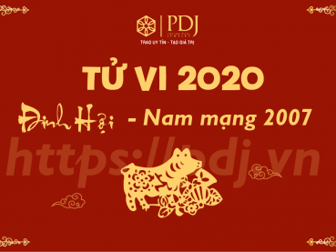 Xem tử vi năm 2020 của tuổi Đinh Hợi 2007 - Nam mạng