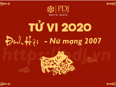 Xem tử vi năm 2020 của tuổi Đinh Hợi 2007 - Nữ mạng
