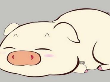 Tổng quan về sự nghiệp của tuổi Quý Hợi 1983, luận giải sự nghiệp cả đời của nam nữ Quý Hợi 1983 Tổng quan về sự nghiệp của tuổi Quý Hợi 1983, luận giải sự nghiệp cả đời của nam nữ Quý Hợi 1983