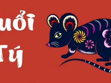 Xem tử vi trọn đời của tuổi Mậu Tý 2008 - Nữ mạng