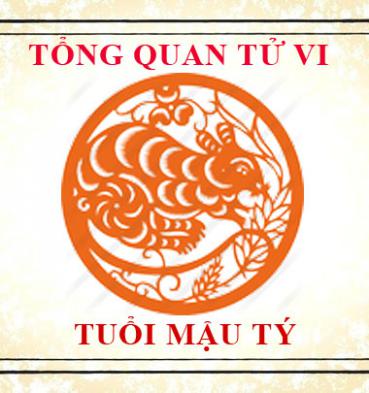 Xem tử vi trọn đời của tuổi Mậu Tý 2008 - Nam mạng