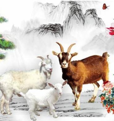 Tháng 10 may mắn sẽ mỉm cưới với 3 con giáp này