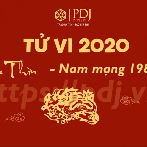 Xem tử vi năm 2020 của tuổi Mậu Thìn 1988 - Nam mạng - PDJ.vn