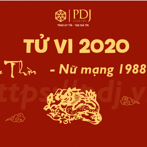 Xem tử vi năm 2020 của tuổi Mậu Thìn 1988 - Nữ mạng - PDJ.vn