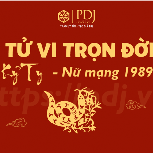 TỬ VI TUỔI KỶ TỴ 1989 NỮ MẠNG NĂM 2026
