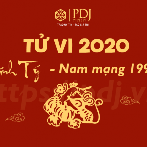 NHẬN BIẾT TUỔI XUNG KHẮC VỚI BÍNH TÝ TRONG NĂM CANH TÝ