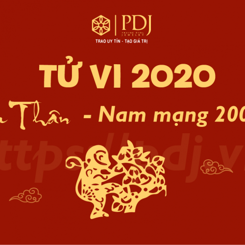 TUỔI THÂN 2004 NĂM NAY CÓ TỐT KHÔNG ĐỂ LẠI DẤU ẤN GÌ